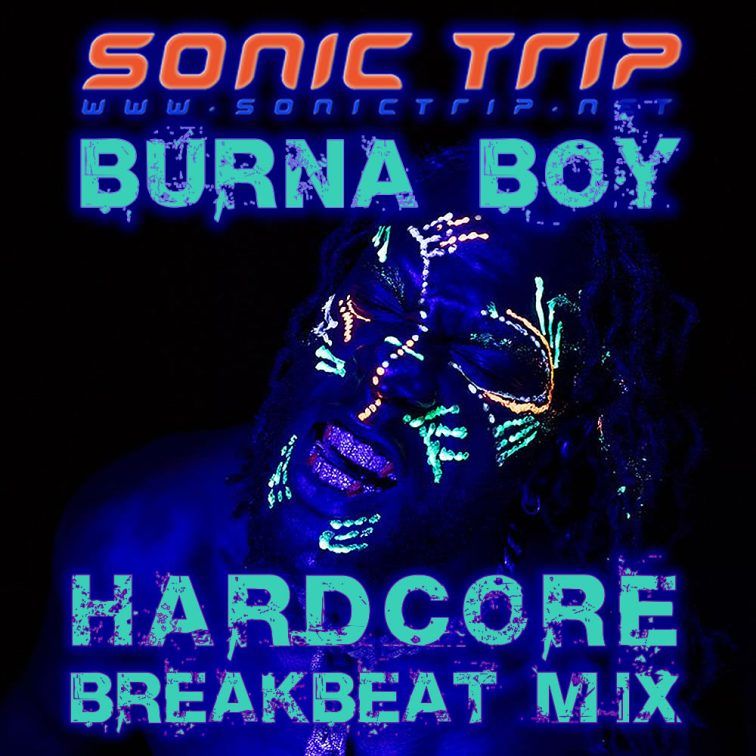 Sonic Trip & Burna Boy - Everybody