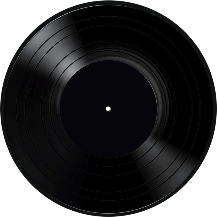 Vinyl Sonic Trip